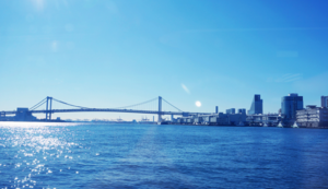 团结拼搏，女足团队又一胜利